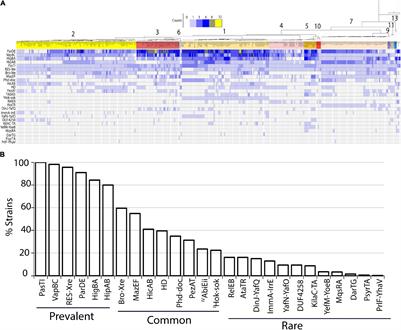 Genome Mining Shows Ubiquitous Presence and Extensive Diversity of Toxin-Antitoxin Systems in Pseudomonas syringae